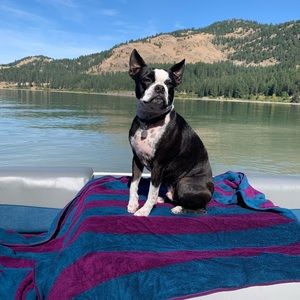 Meet your Posher, Alison